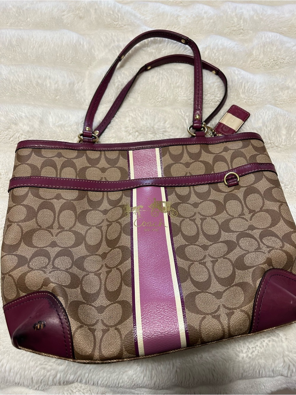 Coach Signature Canvas Tote with Pink Stripe
